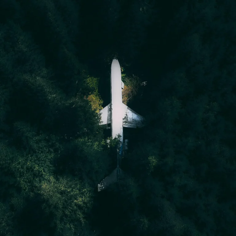 A solitary white airplane surrounded by an endless dark forest, symbolizing the journey of finding one's path through the wilderness of career uncertainty.