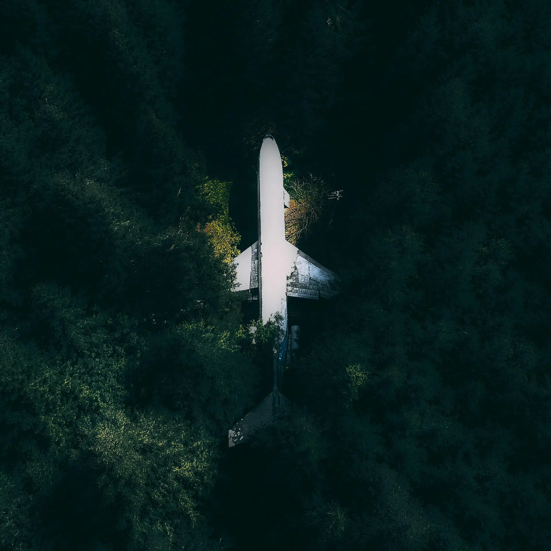 A solitary white airplane surrounded by an endless dark forest, symbolizing the journey of finding one's path through the wilderness of career uncertainty.